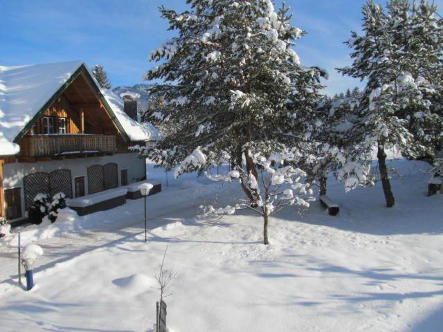 Ferienhaus Grubegg Bad Mitterndorf Extérieur photo